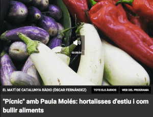Pícnic_Paula Molés_CatalunyaRàdio