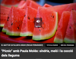 Pícnic_Paula Molés_CatalunyaRàdio
