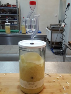 rooftopsmokehouse-xucrut