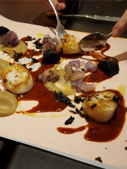 nobook-vieira-portada